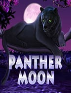 เทคนิค การ เล่น เกม สล็อต ให้ได้กำไรอย่างง่าย